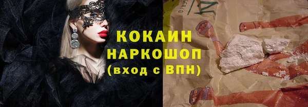 мет Алексин