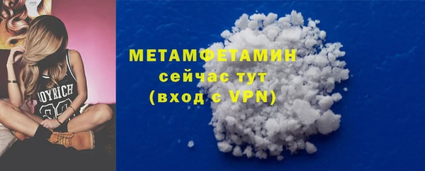 мет Алексин