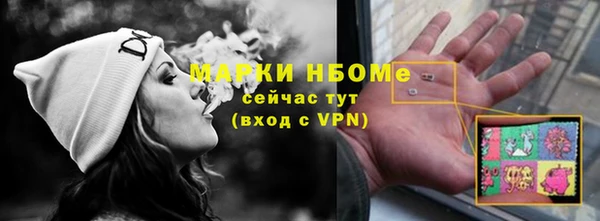 мет Алексин
