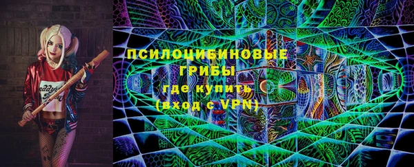 мет Алексин