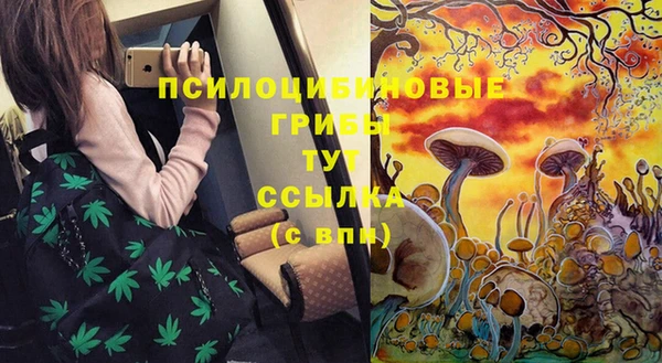MDMA Алексеевка